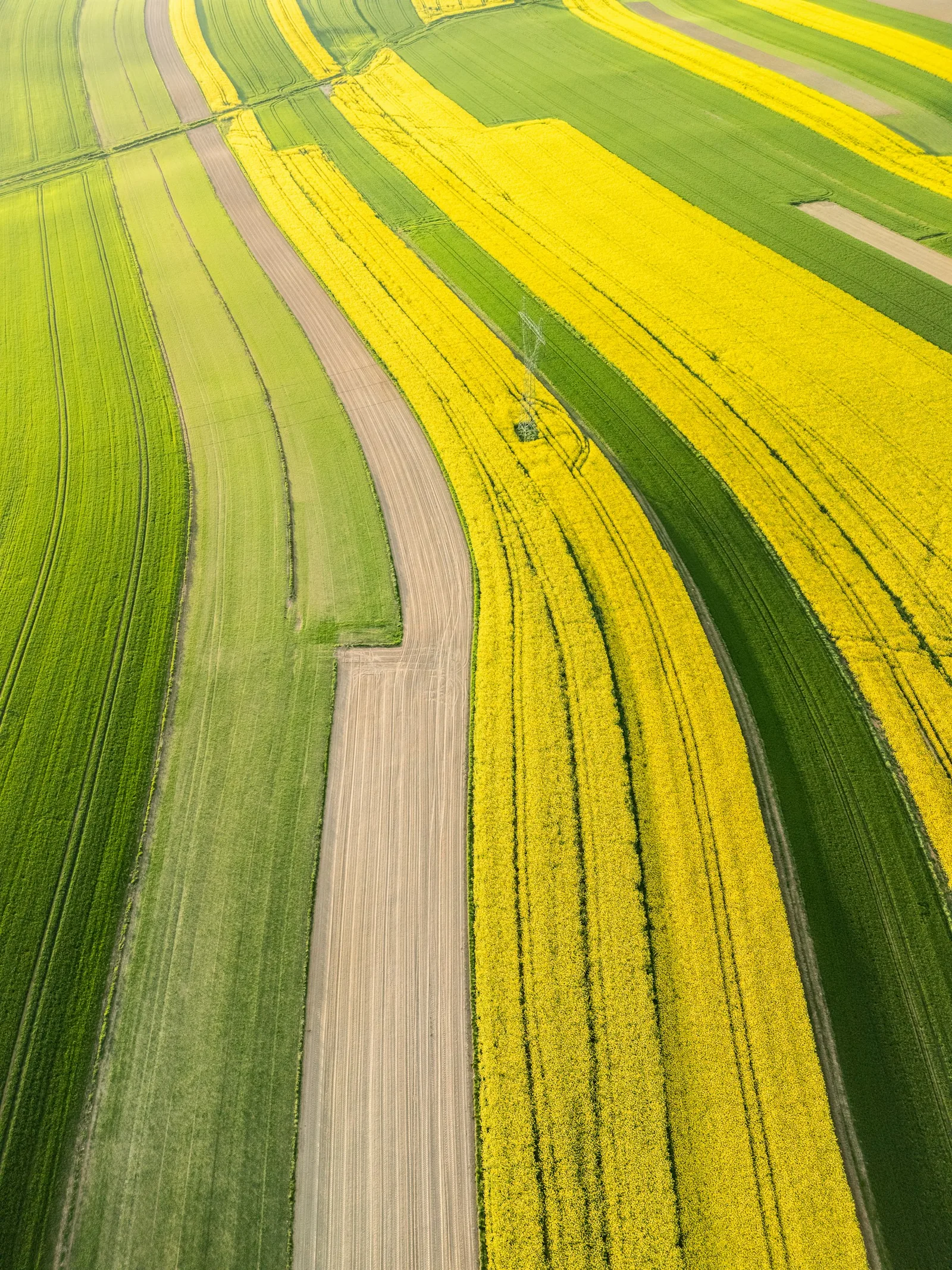 Aerial agricultural fields, illustrative photography